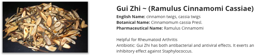 Gui Zhi cinnamon